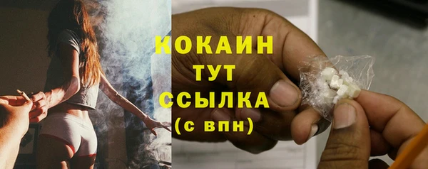 дживик Белоозёрский