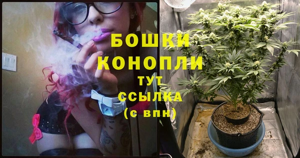 дживик Белоозёрский