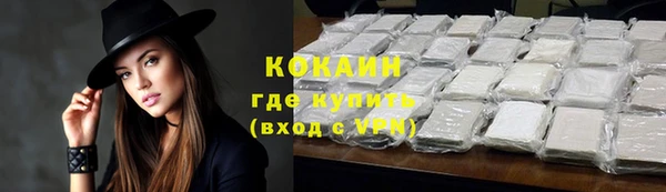 дживик Белоозёрский