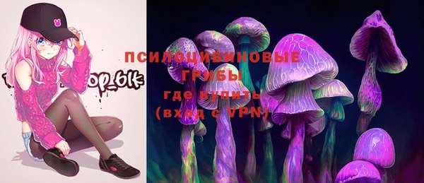 дживик Белоозёрский